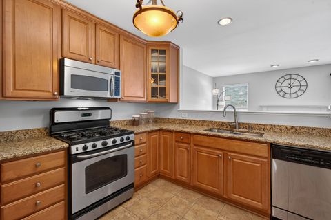 Tiny photo for 244 Steeplechase Court, Schaumburg, IL 60173 (MLS # 12587637)