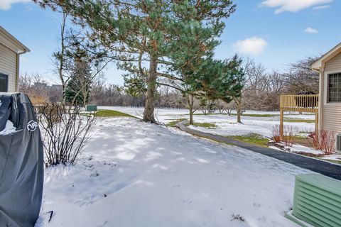 Tiny photo for 244 Steeplechase Court, Schaumburg, IL 60173 (MLS # 12587637)