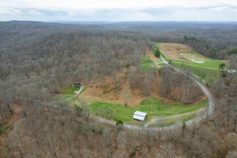 Tiny photo for 1825 Bald Knob Road, Alto Pass, IL 62905 (MLS # 12602893)