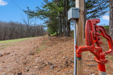 Tiny photo for 1825 Bald Knob Road, Alto Pass, IL 62905 (MLS # 12602893)