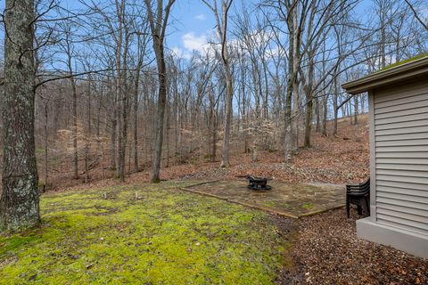 Tiny photo for 1825 Bald Knob Road, Alto Pass, IL 62905 (MLS # 12602893)