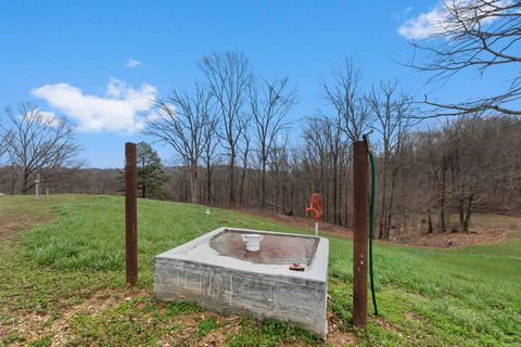 Tiny photo for 1825 Bald Knob Road, Alto Pass, IL 62905 (MLS # 12602893)