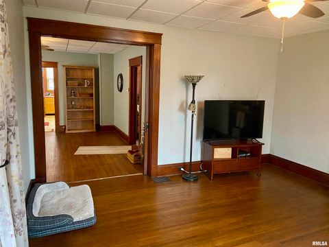 Tiny photo for 614 S 22ND Street, Quincy, IL 62301 (MLS # QC4269690)