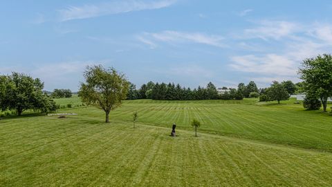 Tiny photo for 25111 S 104th Avenue, Frankfort, IL 60423 (MLS # 12701732)