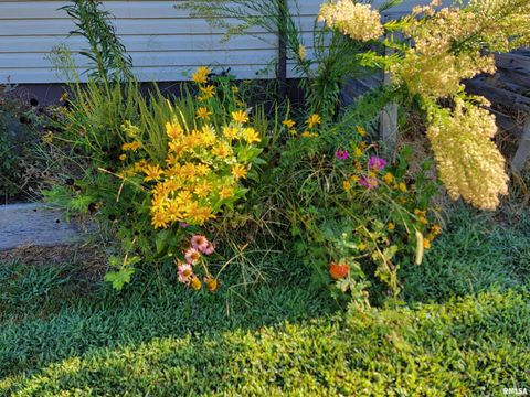 Tiny photo for 2517 Cherrybark Lane, Flora, IL 62839 (MLS # EB459469)