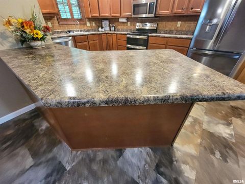 Tiny photo for 2517 Cherrybark Lane, Flora, IL 62839 (MLS # EB459469)