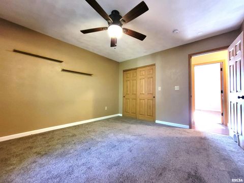 Tiny photo for 2517 Cherrybark Lane, Flora, IL 62839 (MLS # EB459469)