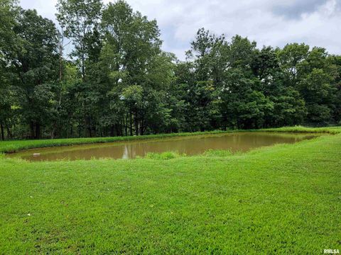 Tiny photo for 2517 Cherrybark Lane, Flora, IL 62839 (MLS # EB459469)