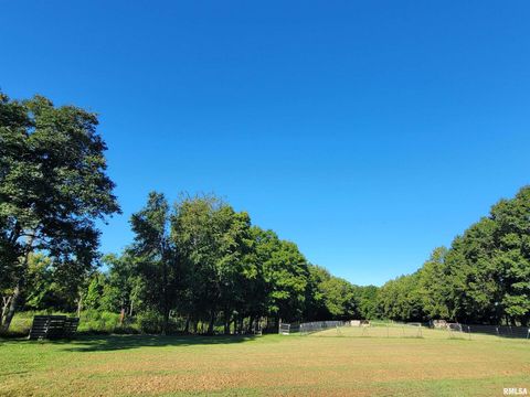 Tiny photo for 2517 Cherrybark Lane, Flora, IL 62839 (MLS # EB459469)