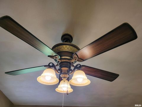 Tiny photo for 2517 Cherrybark Lane, Flora, IL 62839 (MLS # EB459469)