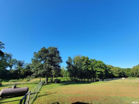 Tiny photo for 2517 Cherrybark Lane, Flora, IL 62839 (MLS # EB459469)