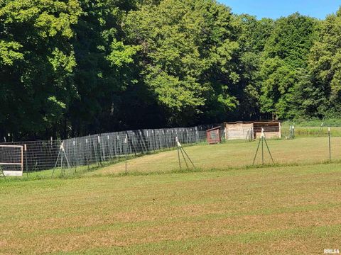 Tiny photo for 2517 Cherrybark Lane, Flora, IL 62839 (MLS # EB459469)