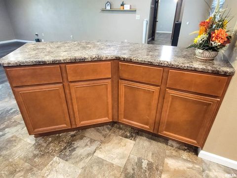 Tiny photo for 2517 Cherrybark Lane, Flora, IL 62839 (MLS # EB459469)