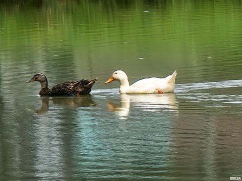 Tiny photo for 2517 Cherrybark Lane, Flora, IL 62839 (MLS # EB459469)