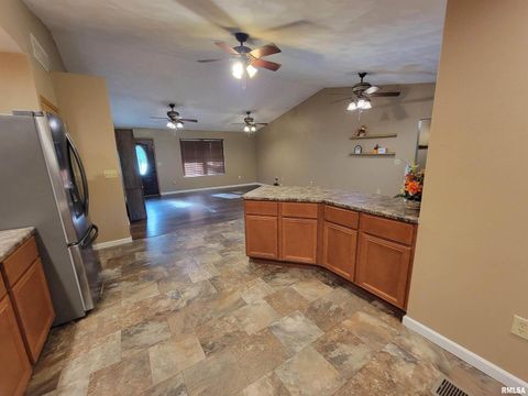 Tiny photo for 2517 Cherrybark Lane, Flora, IL 62839 (MLS # EB459469)