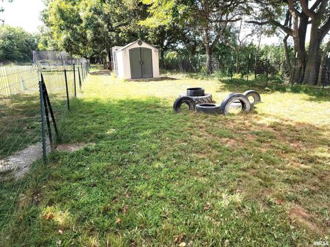 Tiny photo for 2517 Cherrybark Lane, Flora, IL 62839 (MLS # EB459469)