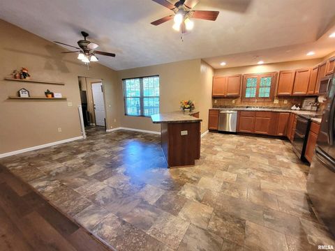 Tiny photo for 2517 Cherrybark Lane, Flora, IL 62839 (MLS # EB459469)