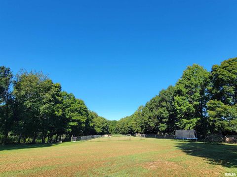 Tiny photo for 2517 Cherrybark Lane, Flora, IL 62839 (MLS # EB459469)