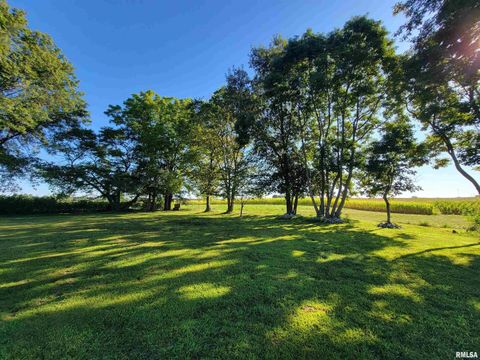 Tiny photo for 2517 Cherrybark Lane, Flora, IL 62839 (MLS # EB459469)