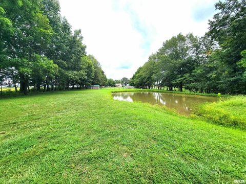 Tiny photo for 2517 Cherrybark Lane, Flora, IL 62839 (MLS # EB459469)