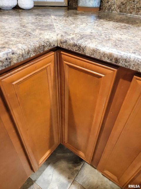 Tiny photo for 2517 Cherrybark Lane, Flora, IL 62839 (MLS # EB459469)