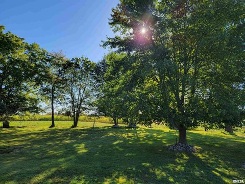 Tiny photo for 2517 Cherrybark Lane, Flora, IL 62839 (MLS # EB459469)