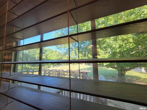 Tiny photo for 2517 Cherrybark Lane, Flora, IL 62839 (MLS # EB459469)