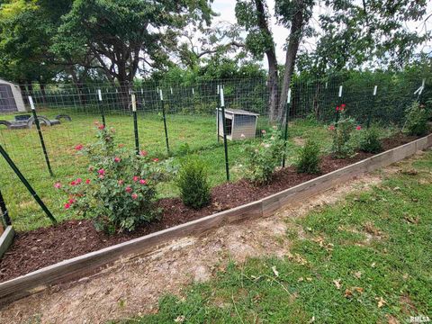 Tiny photo for 2517 Cherrybark Lane, Flora, IL 62839 (MLS # EB459469)