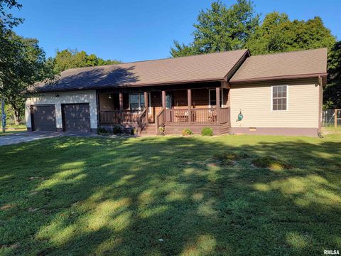 Tiny photo for 2517 Cherrybark Lane, Flora, IL 62839 (MLS # EB459469)