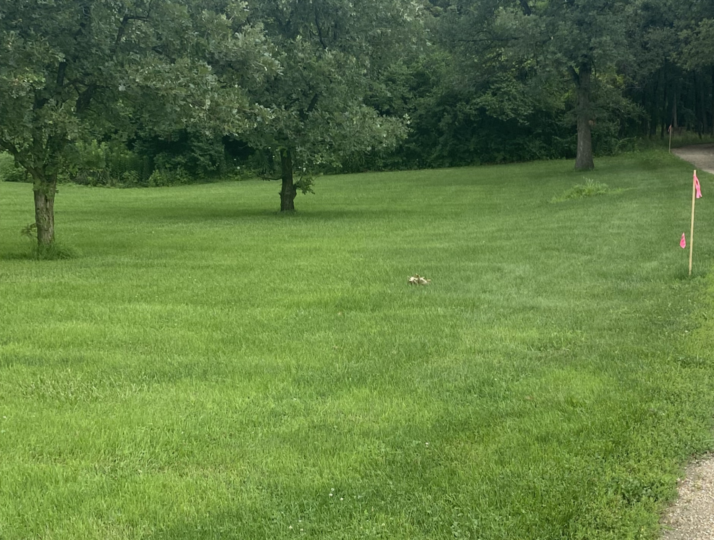13242 W Chicago-Bloomington Trail