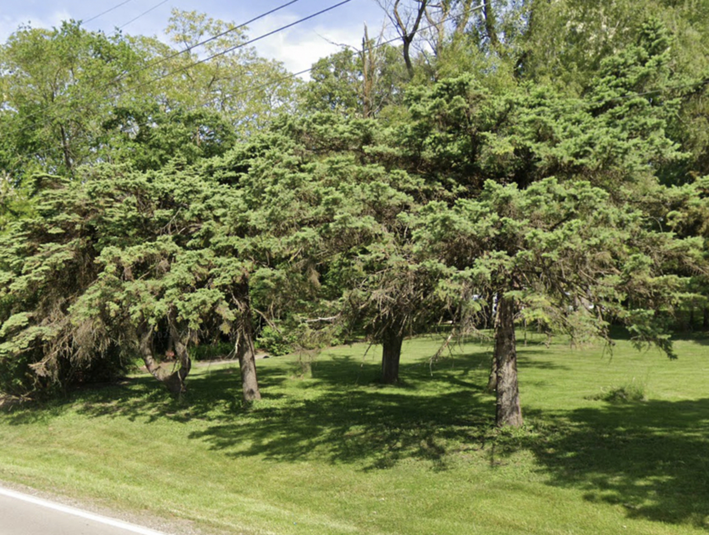 13242 W Chicago-Bloomington Trail