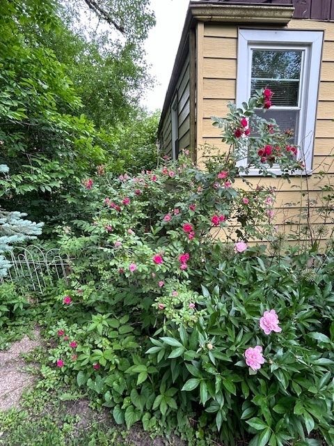 A home in Flossmoor