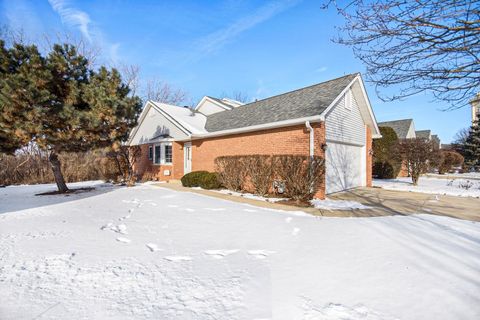 8856 Patrick Court Woodridge IL 60517