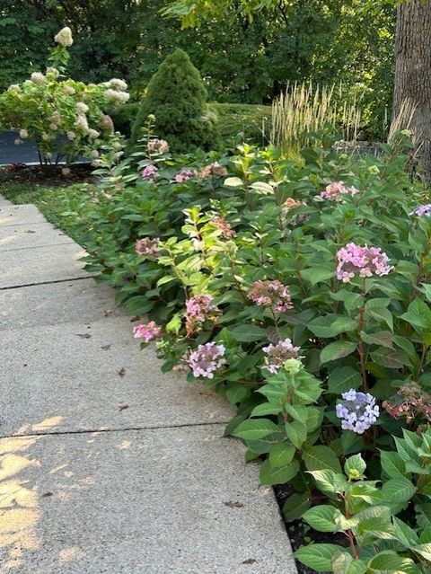 Tiny photo for West Chicago, IL 60185 (MLS # 12621381)