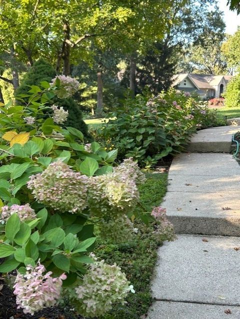 Tiny photo for West Chicago, IL 60185 (MLS # 12621381)