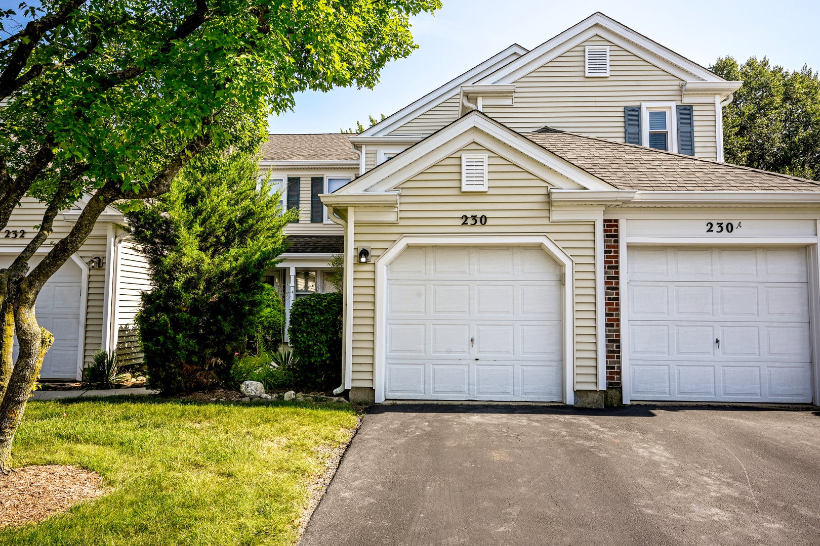230 University Lane