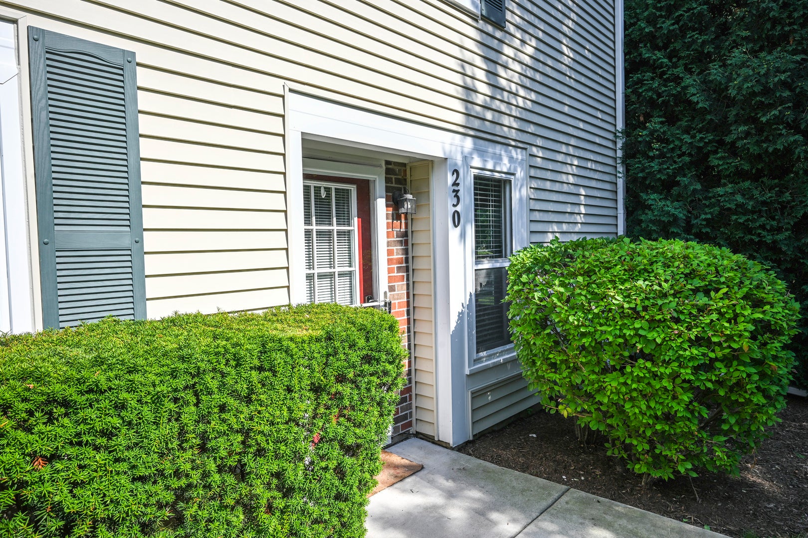 230 University Lane