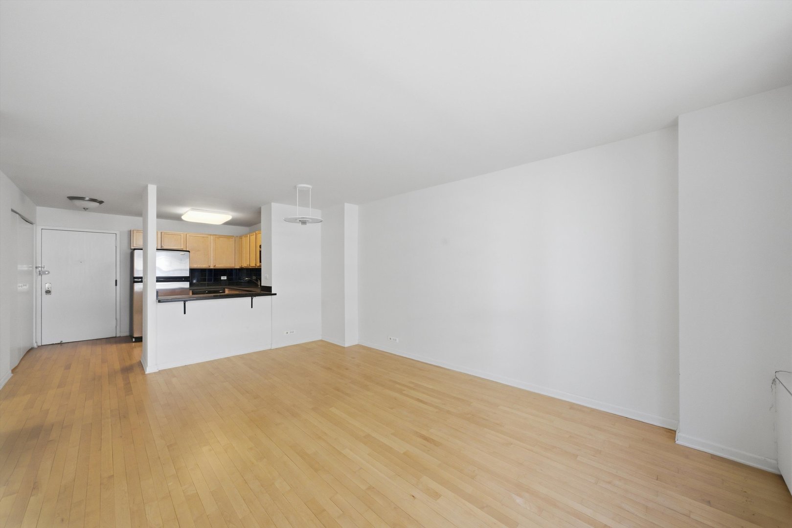 222 E PEARSON Street 1007