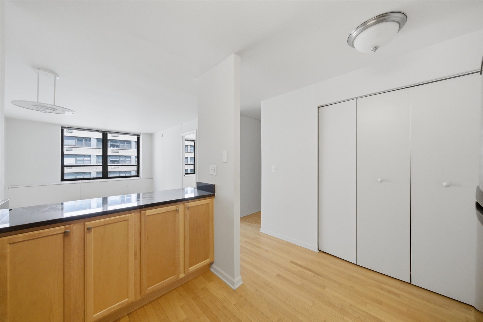 222 E PEARSON Street 1007