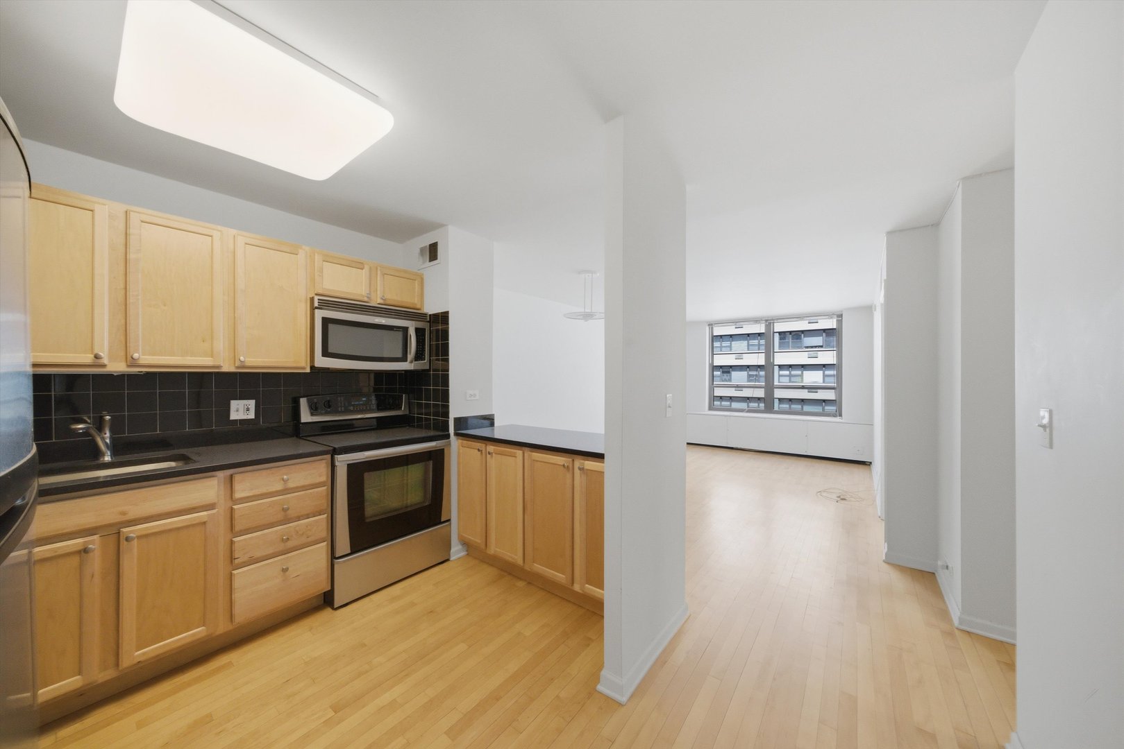 222 E PEARSON Street 1007
