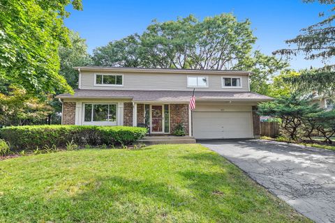 822 Woodbine Circle Lake Zurich IL 60047
