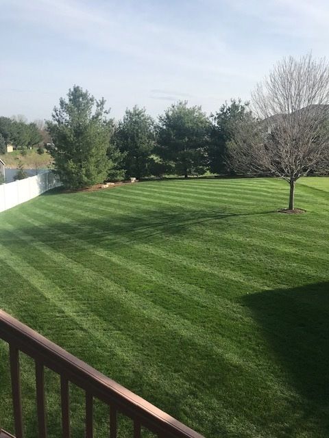 Tiny photo for 2023 E 58TH Street, Davenport, IA 52807 (MLS # 12609693)