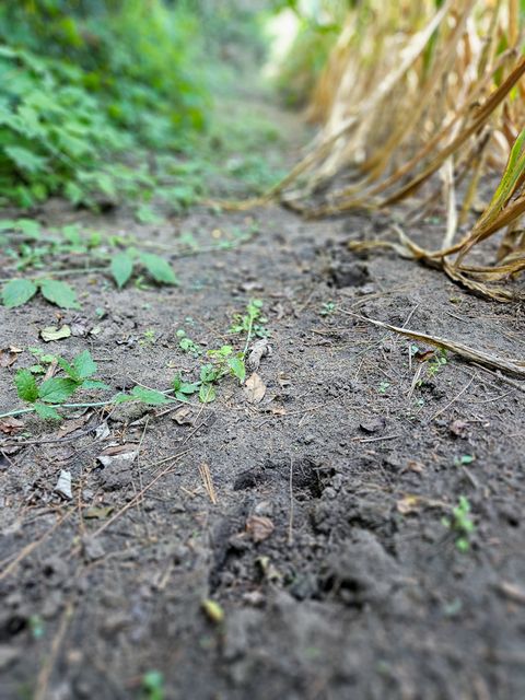 Tiny photo for 21820 W Railroad Street, Marengo, IL 60152 (MLS # 12417635)