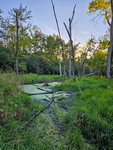 Tiny photo for 21820 W Railroad Street, Marengo, IL 60152 (MLS # 12417635)