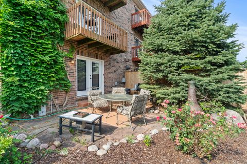 Tiny photo for 8202 Gruener Court #8202, Palos Hills, IL 60465 (MLS # 12475135)