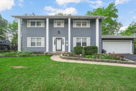 Tiny photo for 4 Wolfe Court, Woodridge, IL 60517 (MLS # 12500313)