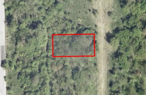 MLS: 12595424