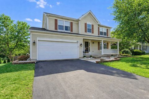 Photo of 176 Woodland Park Circle, Gilberts, IL 60136 (MLS # 12617904)