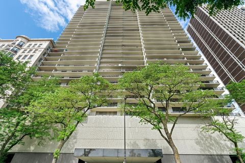 1212 N Lake Shore Drive 32BN Chicago IL 60610