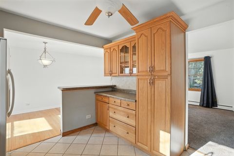 Tiny photo for 10025 S 86th Court, Palos Hills, IL 60465 (MLS # 12487707)